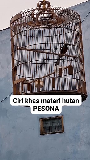 230K views · 2.2K reactions | Supoyo Distro on Reels | Facebook