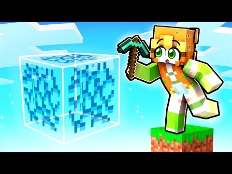 I Trapped My Friends in a FAKE BLOCK in Minecraft!