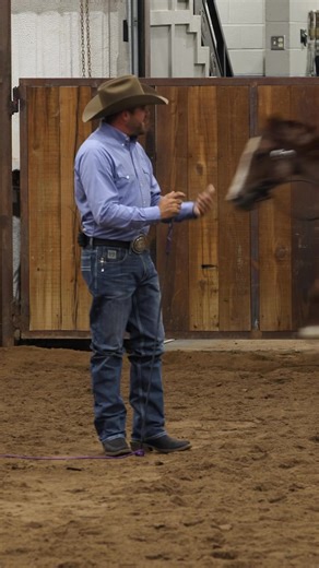 124K views · 3.4K reactions | Right from the beginning, practice getting your colt comfortable loping on a loose rein so that he learns to relax and develops a smooth cadence at the gait. Get a behind-the-scenes look at a colt starting training session at the ranch. Watch the full training session “Training Session # 1: Riding” now on the NWC website or the DUH app. #applythemethod | Downunder Horsemanship | Facebook