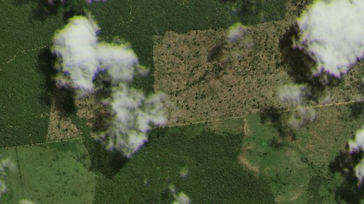 Amazon forest: Satellite view of deforestation