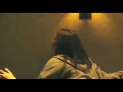 TRAILER MALEFICARUM