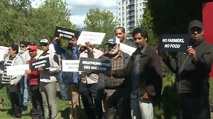 Frustrated orchardists seeking answers from BC Tree Fruits