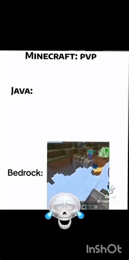 pocket edition vs Java#funny