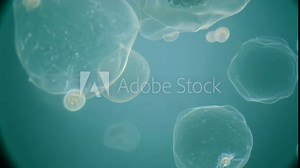 Science, research, medical innovation with microscope view of bacteria or virus DNA during lab analysis study. Microbiology experiment process, healthcare and medicine discovery.