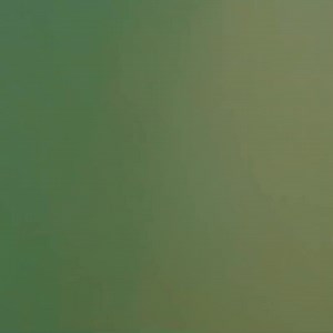 Solo Mission | Hiphop Community Local