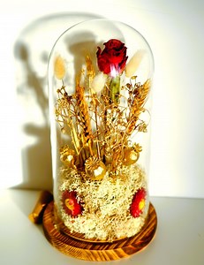 Preserved Flower Cloche / Dome / Bell With Fairy Lights, Dried Bouquet Arrangement, Floral Display Ornament - Etsy
