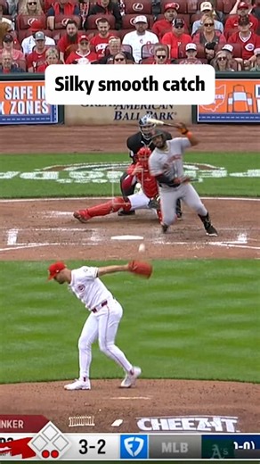 The most exciting baseball catch with silky smoothness🔥 #baseball #pitcher #catch #reflex #mlb