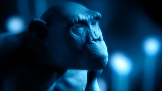 BBC Two - Attenborough's Passion Projects, Darwin's Tree of Life, David Attenborough explains how life on Earth has evolved