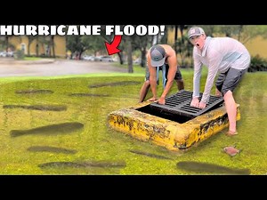 Saving Fish from HURRICANE FLOOD!