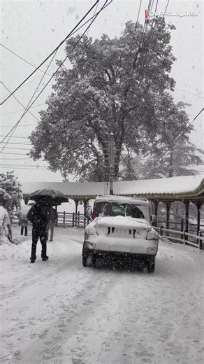 Shimla Snowfall Update ❄️ | Fresh Snow Today Shimla received fresh snowfall today, turning the city into a complete winter wonderland ❄️ Freezing temperatures, snow-covered roads, and white views all around. If you’re searching for Shimla snowfall update today, this is the latest ground situation from Himachal’s capital. ⚠️ Travel Advisory: Roads are slippery due to snow — drive carefully and avoid unnecessary travel. 📍 Shimla, Himachal Pradesh ❄️ Snowfall 2026 #ShimlaSnowfall #ShimlaSnowfallTo