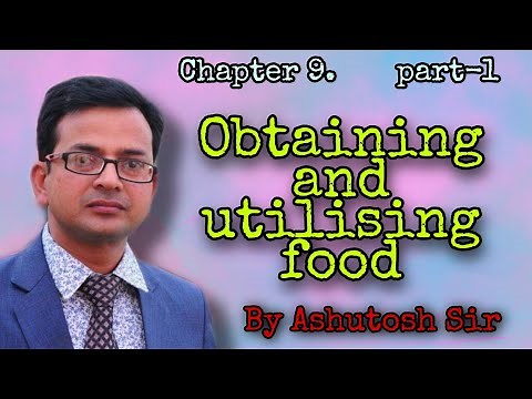 Chapter 1l Obtaining and utilising food l part 1 l for Class 7