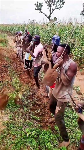 Tilling in Unity: How Generations - Old Farming Rituals Sustain Communities