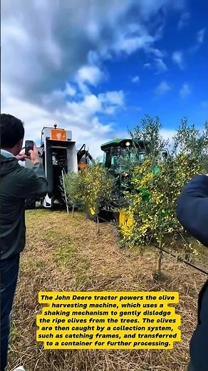 Modern Olive Harvesting with John Deere Tractor Technology