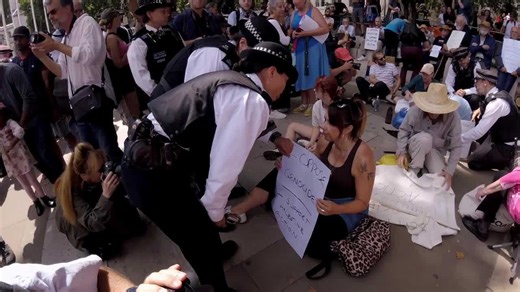 Police make 200 arrests during pro palestine action protests in Parliament Square in Central London