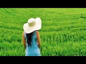 Kecapi Suling Sunda || Musik Penyejuk Hati