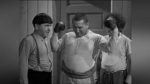 The Three Stooges Collection