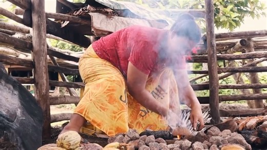Samoa Tourism Authority on Instagram: "Warm, rich, and authentically Samoan 🤎✨ Koko Samoa, a true island breakfast drink that brings comfort to every morning. 🌺 #BeautifulSamoa #DiscoverSamoa"