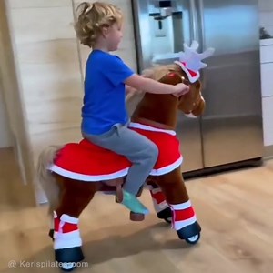 Laissez le poney PonyCycle passer Noël avec vous | PonyCycle