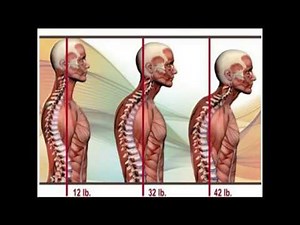 Introduction to Chiropractic