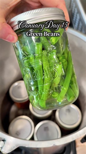 Another cantry staple and the perfect recipe for beginners! I love having canned green beans on the shelf. It’s day 15 of my canuary series and I’ve got another meal in the jar with chicken noodle soup 😋 It’s WAY better than anything you’ll get at the store. Okay love you byeee #canningandpreserving #homesteading