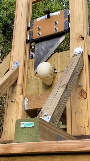 Surviving the guillotine pt.1 #guillotine #woodworking #frenchrevolution #survival #creepyfacts