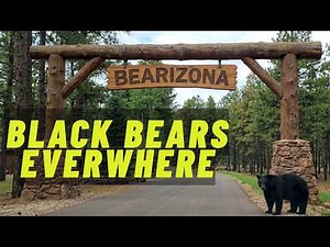 Bearizona Wildlife Park Full Tour 2026