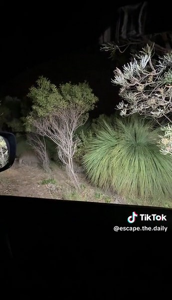 Enhance Your Off-Road Experience with Bright Car Lights