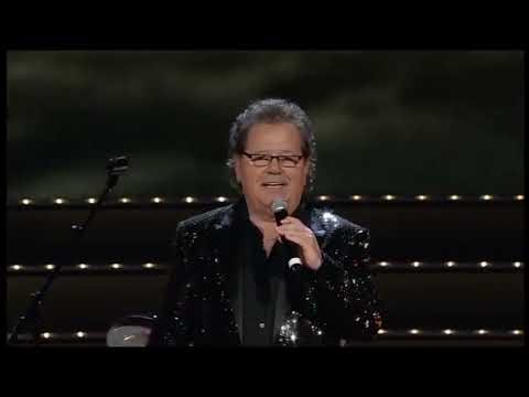 Die Flippers / Medley