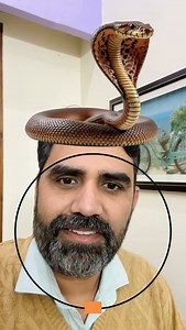 1.4M views · 10K reactions | Snake Game  #snakegame #snake #puzzle #challenge #newchallenge #newpuzzle #snakegame # | Sandeep Kumar | Facebook