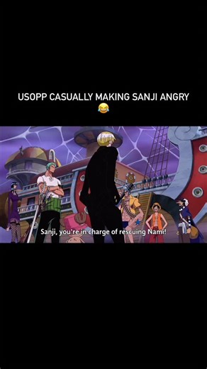 @luffy.979 | The “Going Merry” and “Thousand Sunny” are the two ships of the Straw Hat Pirates in the One Piece series. The Going Merry was their first... | Instagram