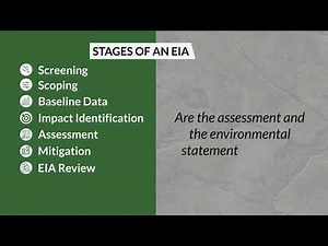 The EIA Process - English