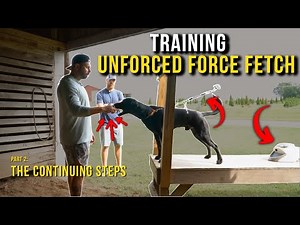 Training 'Unforced Force Fetch' | Part 2: The Continuing Steps