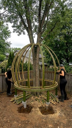 Building a Bamboo Treehouse Around a Living Tree | DIY & Crafts