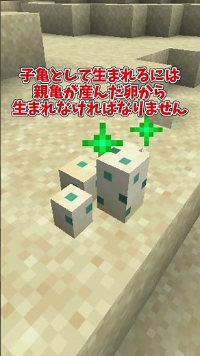 【マイクラ】キツネが子亀を攻撃する理由【ゆっくり実況】 #マイクラ #ゆっくり実況