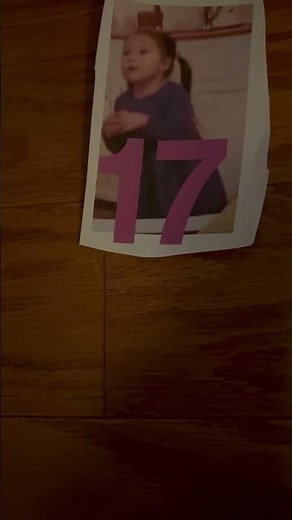 Sesame Street The Count’s Number of the Day 17 Waltz