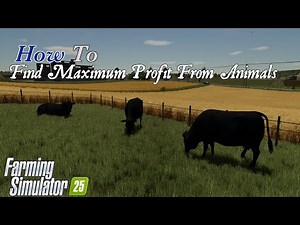 How To | Find Maximum Profit From Animals | Beef Cattle | Farming Simulator 25