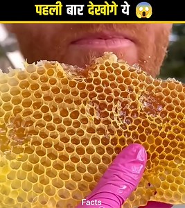 159K views · 2.2K reactions | Honey Bee Hive  | Facts India | Facebook