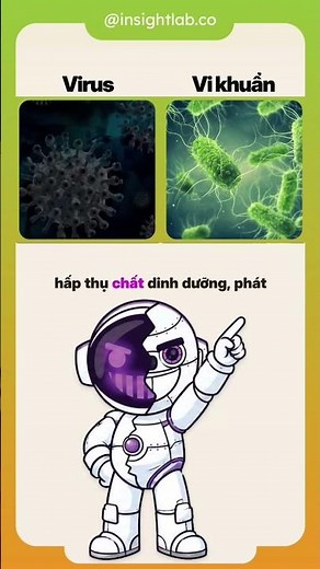 Virus và vi khuẩn khác nhau như thế nào?