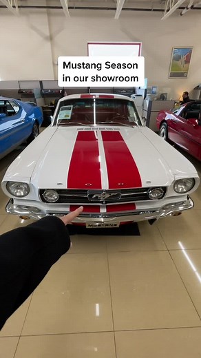 Which mustang are you taking?? #gt350 #mach1 #mustanggt #ford #mustangcaliforniaspecial #mustangboss302 #flemingsultimategarage #musclecars