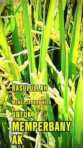 KEAGUNGAN DZIKIR HAUQOLAH