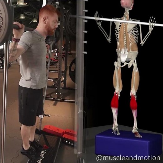 STANDING CALF RAISES