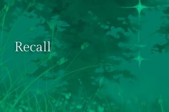 Recall