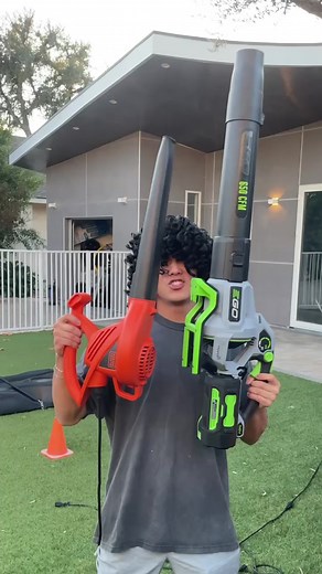Testing Cheap vs. Expensive Leaf Blowers!