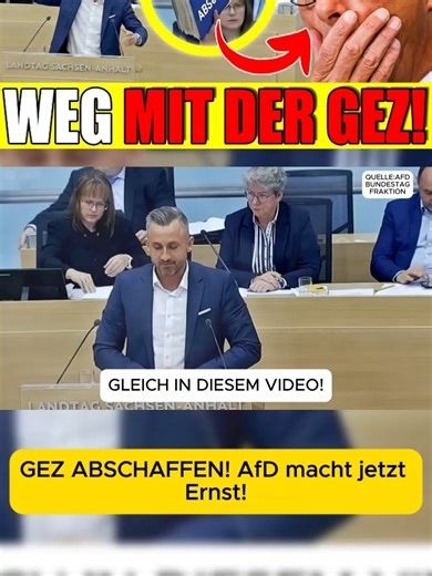 GEZ ABSCHAFFEN! AfD macht jetzt Ernst!