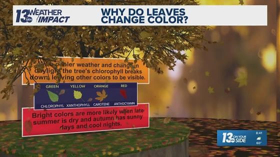 Why are trees already changing color in West Michigan?