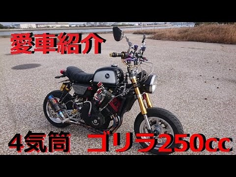 【愛車紹介】フルカスタム 4mini? ゴリラ 250cc 45馬力 フルパワー #4mini #モンキー #ゴリラ #4気筒