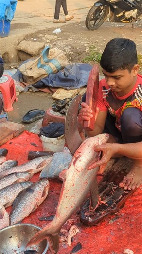 Amezig village Pangas Head Cutting skills #fishcutting #bigviralfish #shortsviral