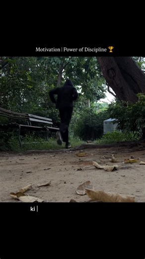 Shisham Rai on Instagram: "Discipline ka matlab hai tab mehnat karna jab koi dekh bhi nahi raha ho. Na koi spotlight, na koi appreciation bas apne standards ke liye grind karna. Yahi silent consistency hi ek din sabse loud result deti hai🏆 . . #motivation #motivational #workoutmotivation #fitnessmotivation #fitnessjourney #gymmotivation #fyp #explorepage"