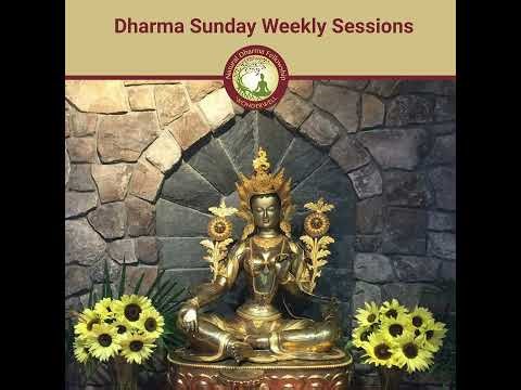 The Teacher-Student Relationship with Lama Willa
