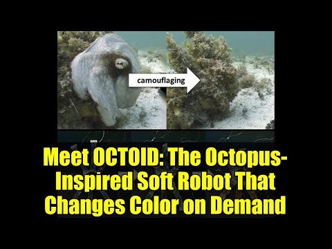 Meet OCTOID: The Octopus-Inspired Soft Robot That Changes Color on Demand